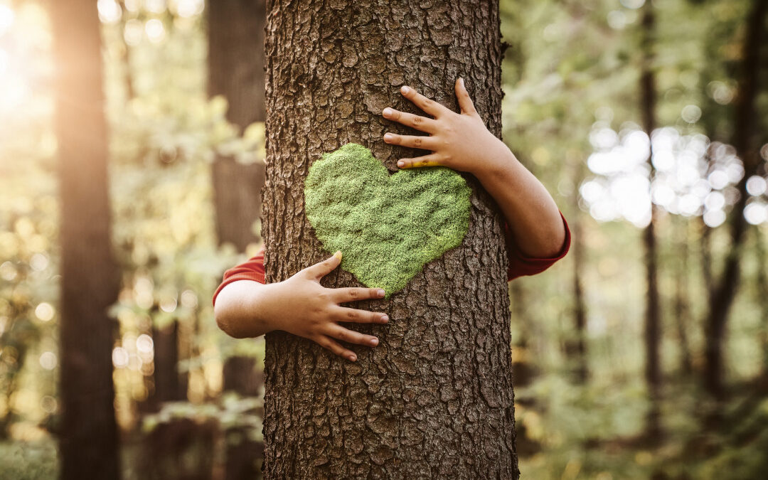 Tree hugger