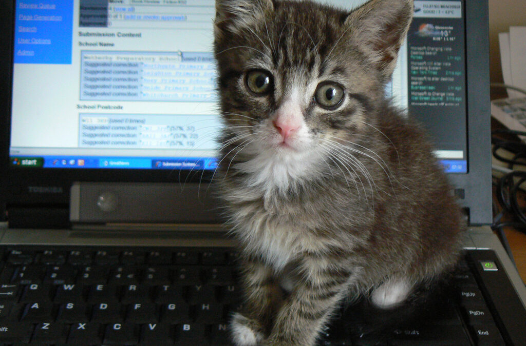 Kitty-writes