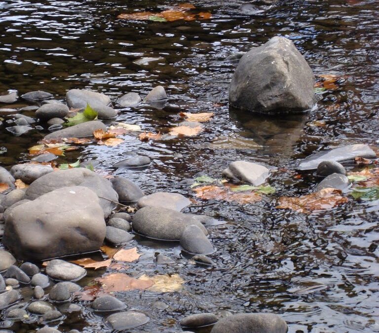 shiny-rocks-and-water